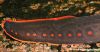 Mastacembelus erythrotaenia (tail)