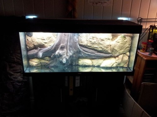 [External Image]