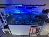Eksklusivt akvarium med fisker og masse utstyr