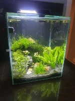 Bilde av akvarium