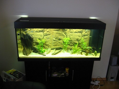 Bilde av akvarium