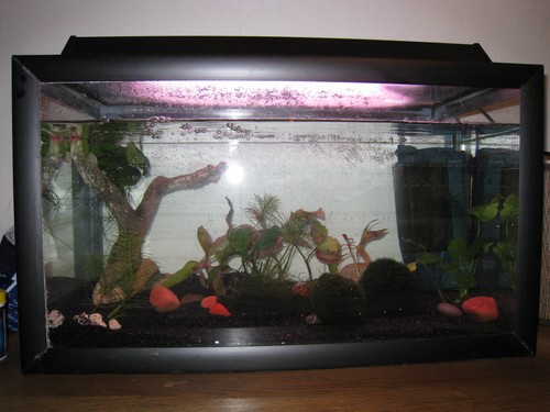 Bilde av akvarium