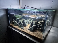 Bilde av akvarium