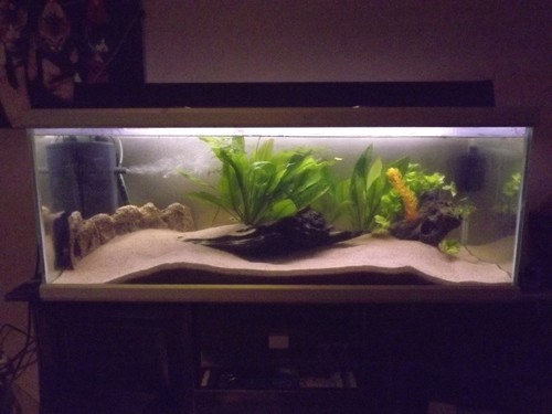 Bilde av akvarium