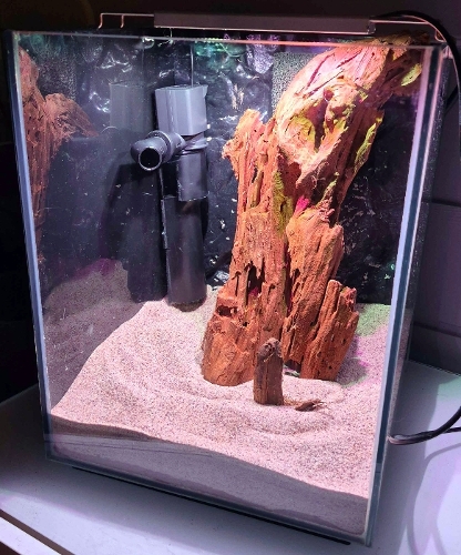 Bilde av akvarium