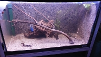 Bilde av akvarium