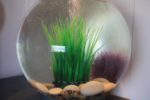Bilde av akvarium