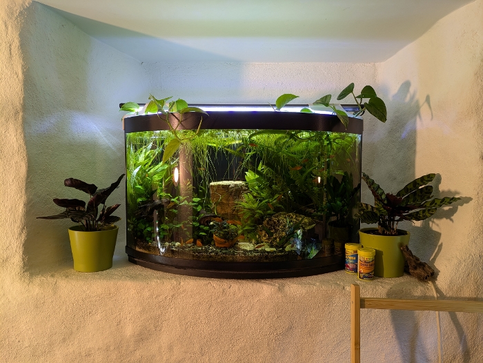 Bilde av akvarium