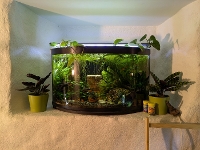 Bilde av akvarium