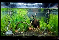Bilde av akvarium