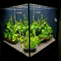Bilde av akvarium