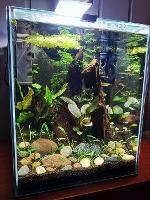 Bilde av akvarium