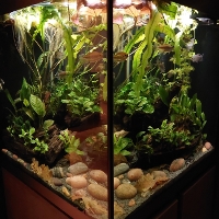 Bilde av akvarium