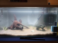 Bilde av akvarium