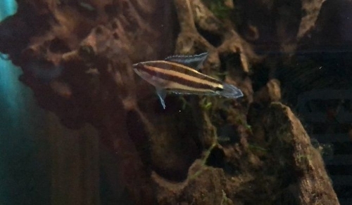 &copy; Rannveig Strand