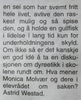 Bilde
