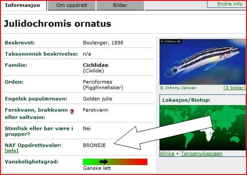 Illustrasjonsbilde