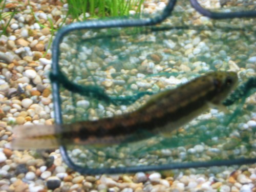 Illustrasjonsbilde