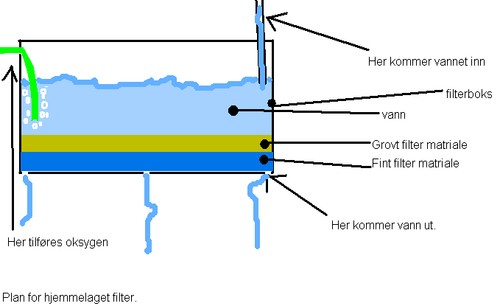 Illustrasjonsbilde